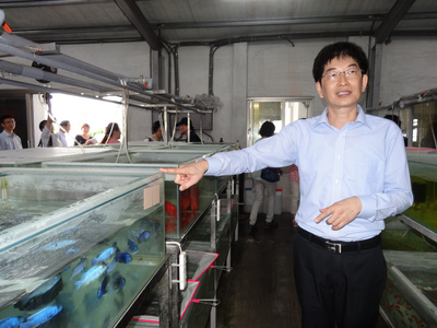 Les poissons d’aquarium dans l’ère du libre marché