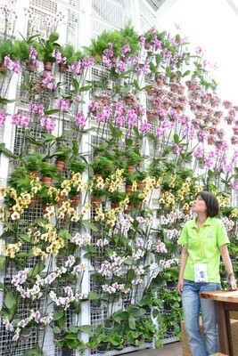 Maison d’orchidée de Taiwan à la finale de Solar Decathlon Europe