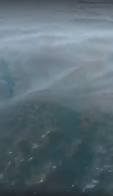 Du fioul détecté dans les eaux à proximité de Jinshan