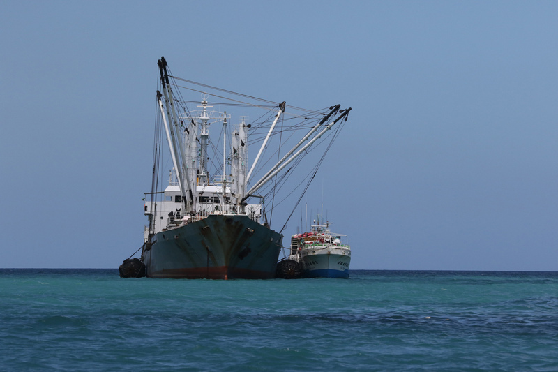 Les produits de la mer taïwanais listés comme issus du travail forcé par les Etats-Unis