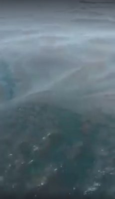 Du fioul détecté dans les eaux à proximité de Jinshan