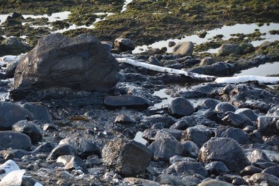 Le nettoyage de pétrole se poursuit à Shimen