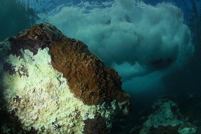 Le Parc national de Kenting confronté à la pire vague de blanchissement des coraux depuis 1998