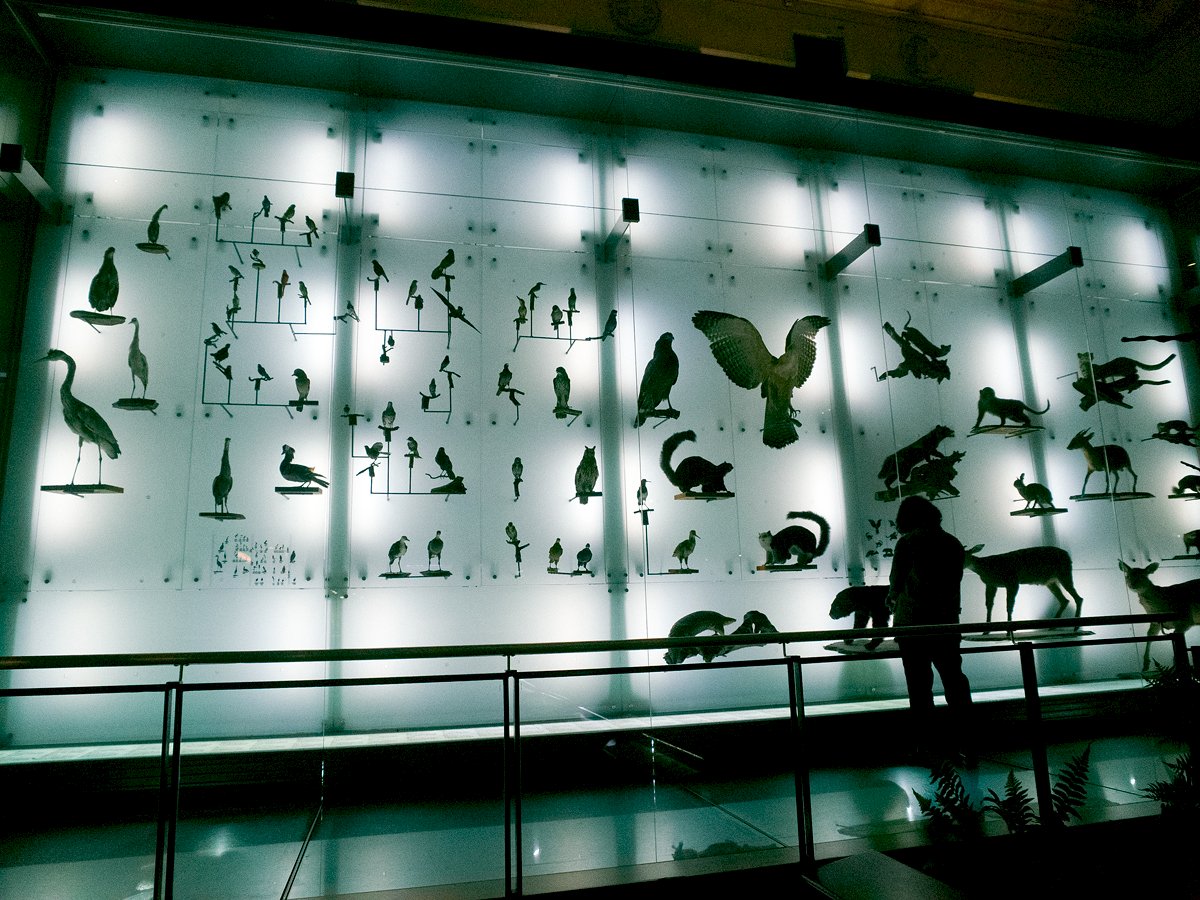 Flâneur du 29 mars 2018 : au Musée National de Taiwan