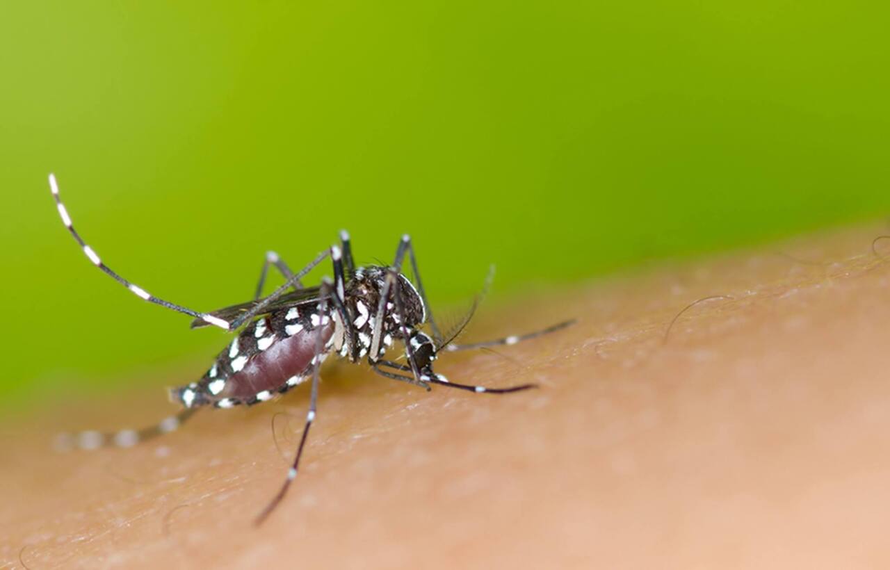Colloque international sur la dengue  à Taiwan