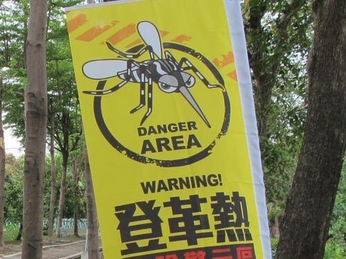 Taïwan enregistre son premier cas domestique de dengue depuis plus d'un an