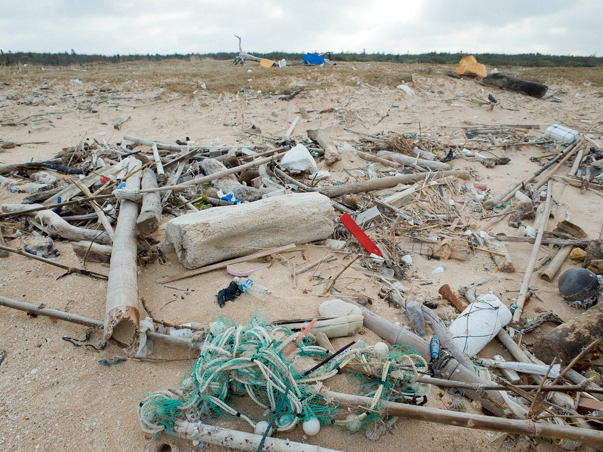 Une des plages souillées de Huxi