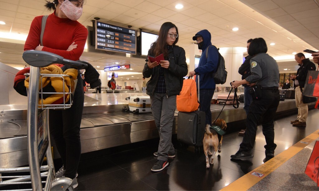 Peste porcine : Taiwan renforce de nouveau les sanctions à la douane