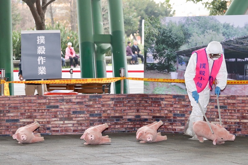 Des faux cochons pour une vraie lutte?
