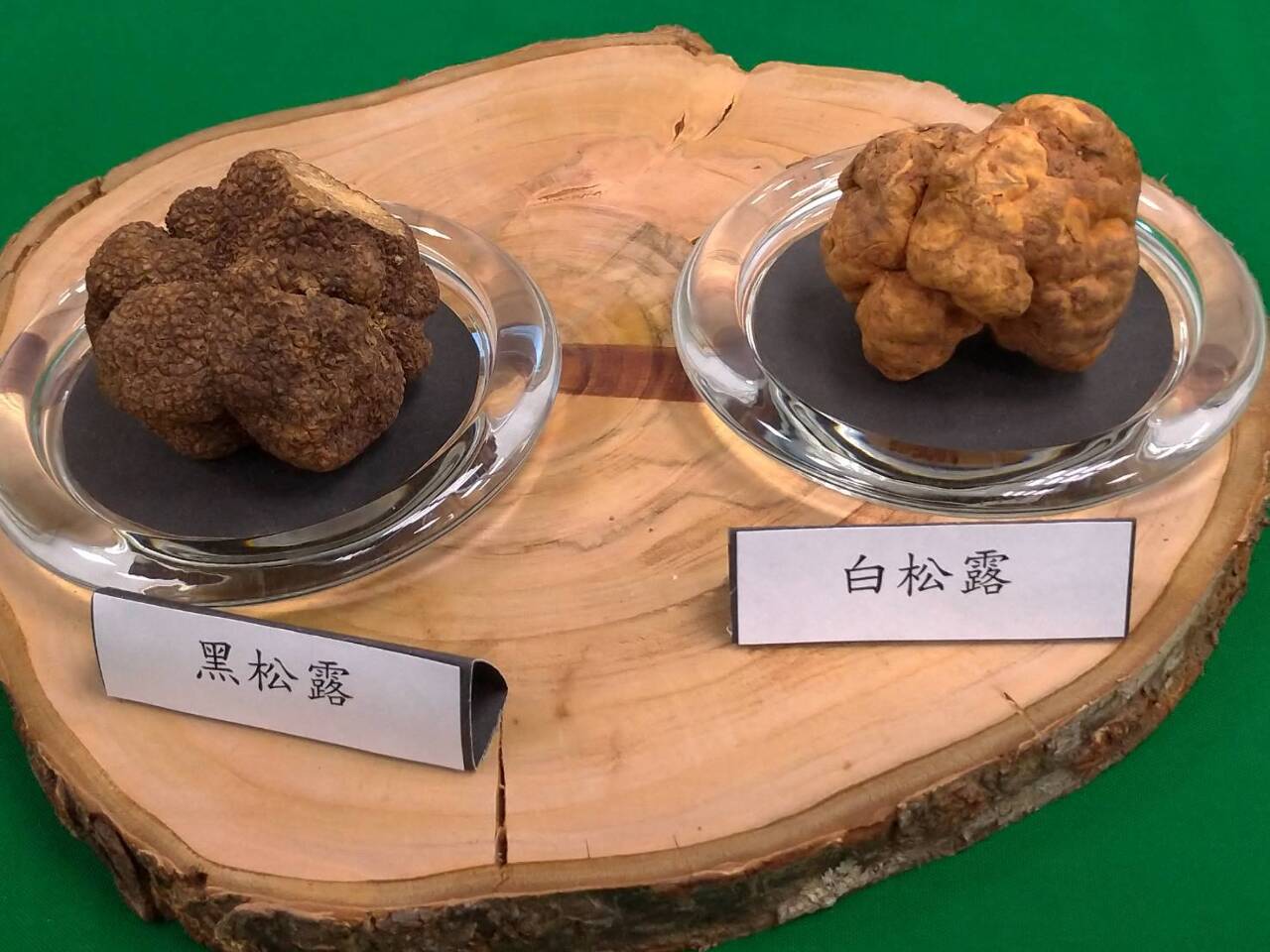 Dernière découverte de truffes blanches à Taïwan