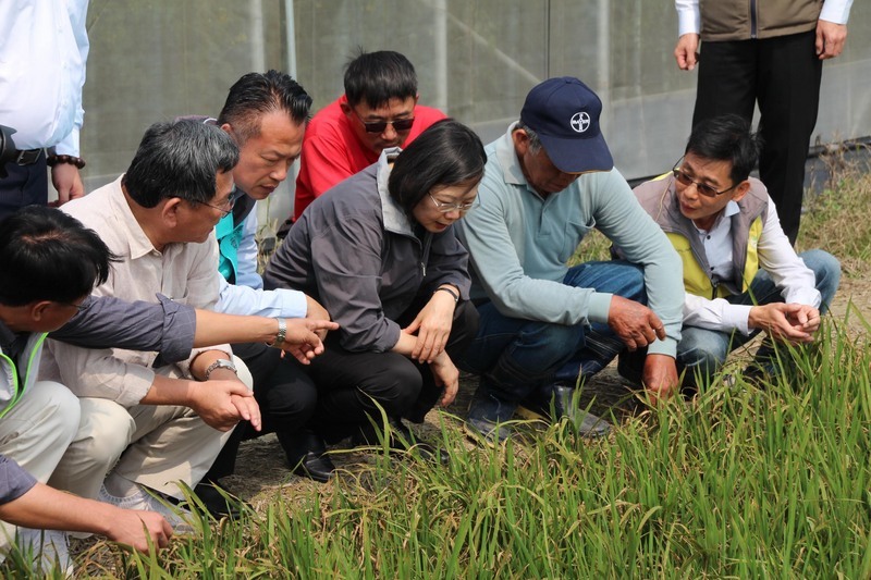 A Chiayi, Tsai Ing-wen tente de rassurer les agriculteurs suite aux mauvaises récoltes
