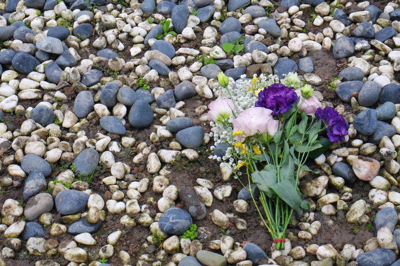 Taipei encourage ses habitants à planter des fleurs à la place des pierres tombales