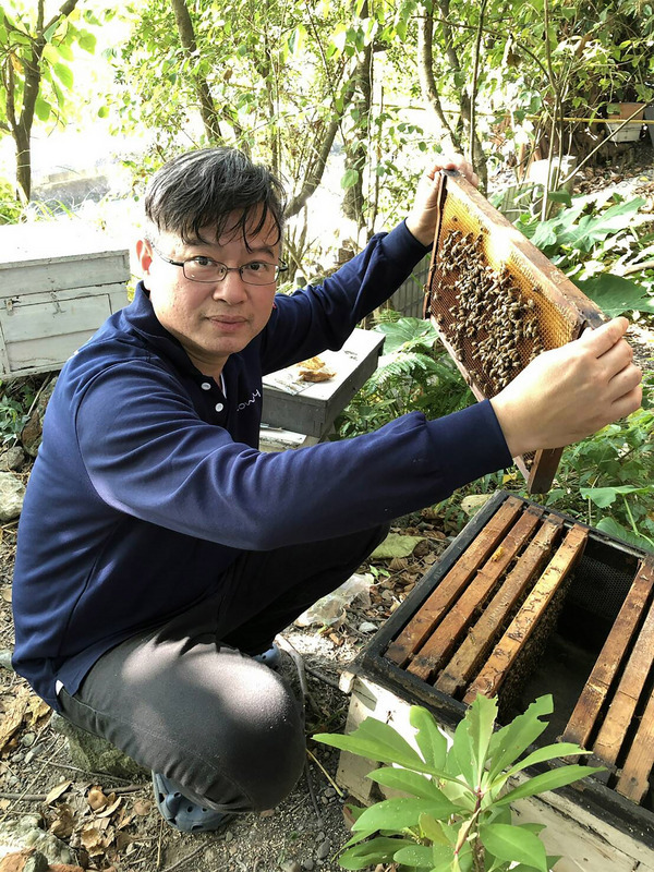 La sonnette d’alarme est tirée une fois de plus concernant les abeilles