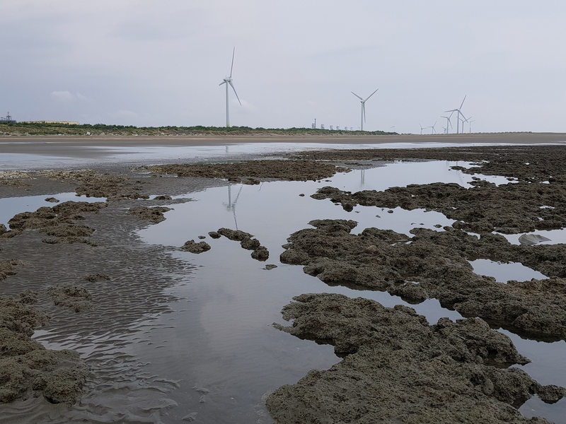 Dernier signal d’alarme pour les récifs d’algues de Datan avant le début des travaux de CPC