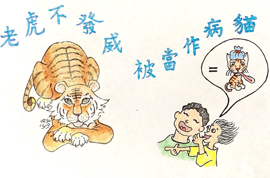 tigre serein (illustration Typhaine Li)