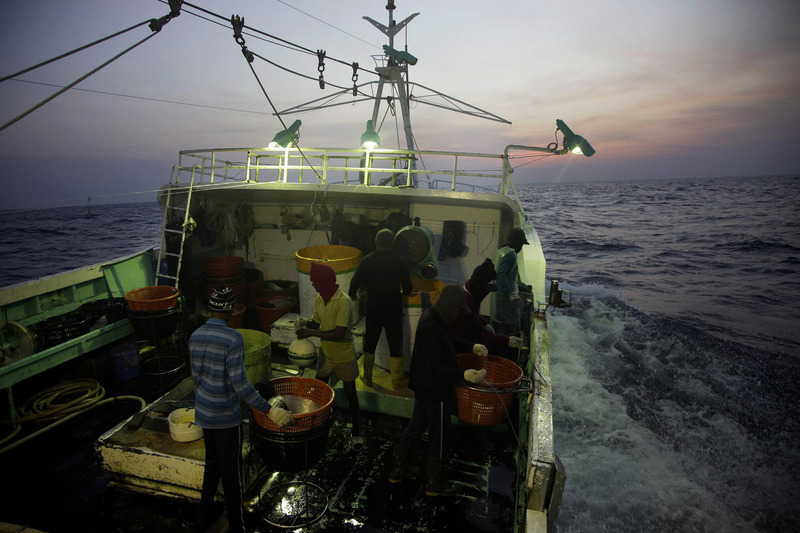 Greenpeace Taiwan dénonce les conditions de travail des pêcheurs migrants en haute-mer