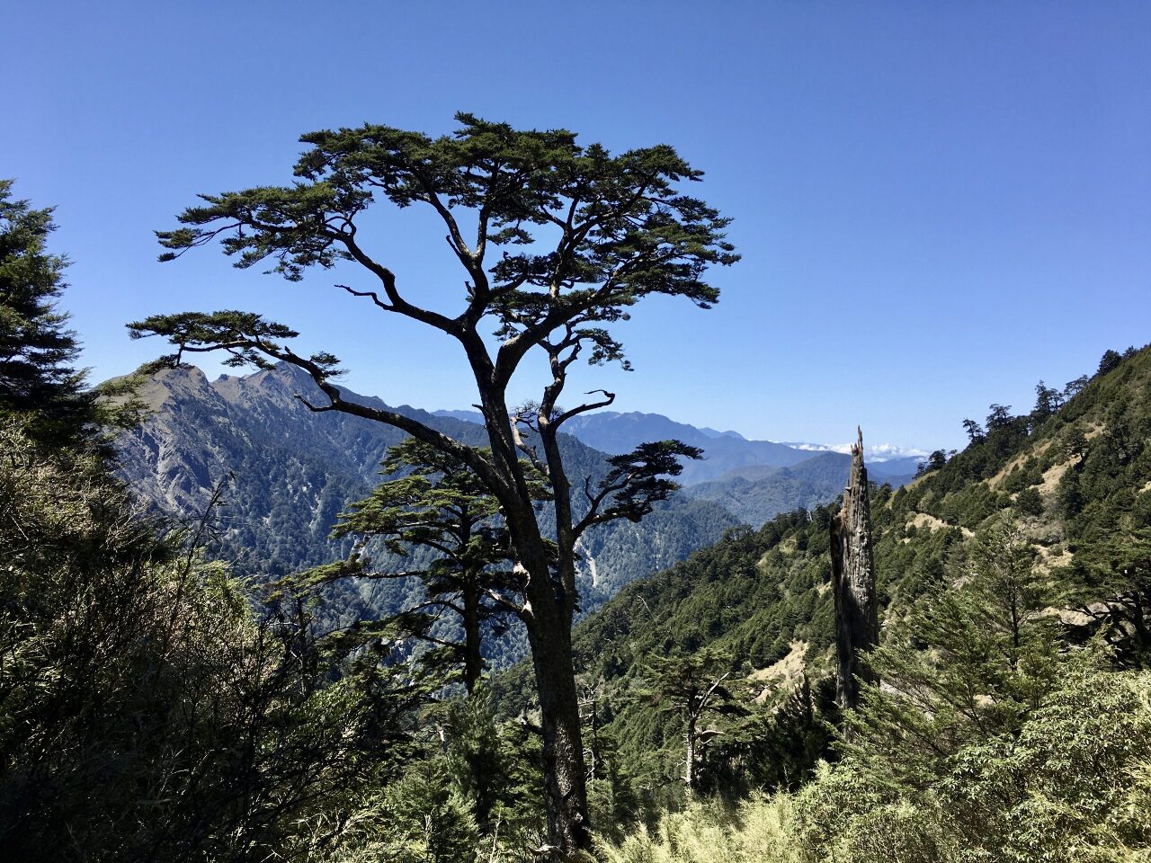 On en parle à Taïwan : Zéro, Golf de Hualien, sentier historique de Nenggao, le mayishangshu
