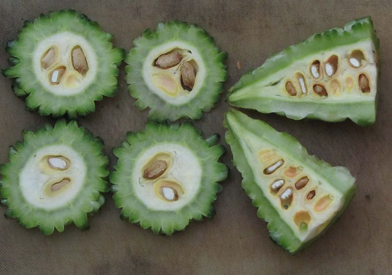 Melon amer (Image : Wikimedia Commons - Sengai Podhuvan)