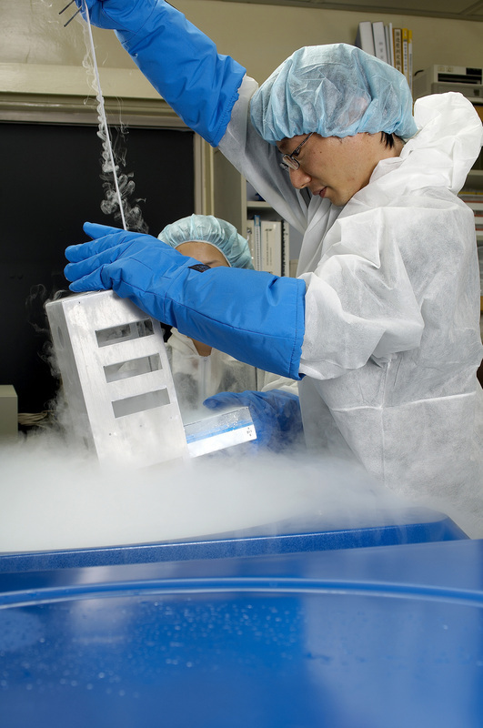 Taiwan lance le projet de « l’arche de Noé » pour mieux préserver les espèces des rongeurs de laboratoire