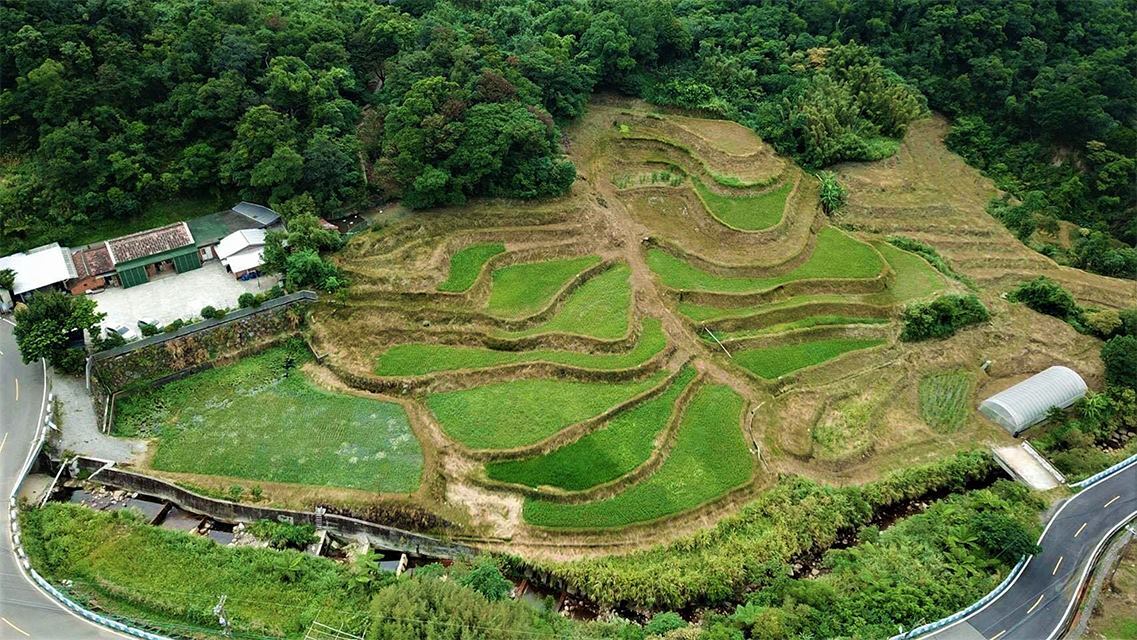 La consommation de riz atteint le niveau le plus faible de l'histoire à Taiwan