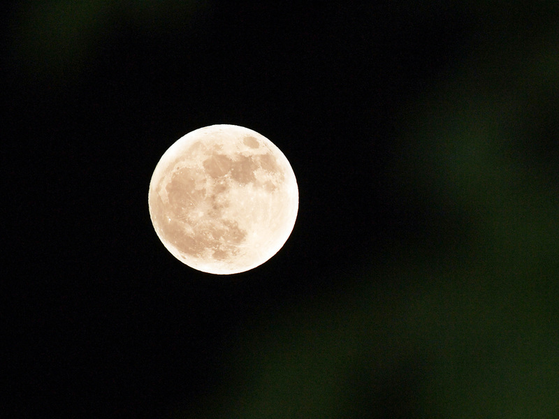 Une vraie pleine lune pour la fête de la mi-automne