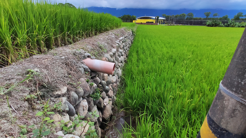Pénurie d’eau : la plaine de Jianan visée par une suspension de l’irrigation