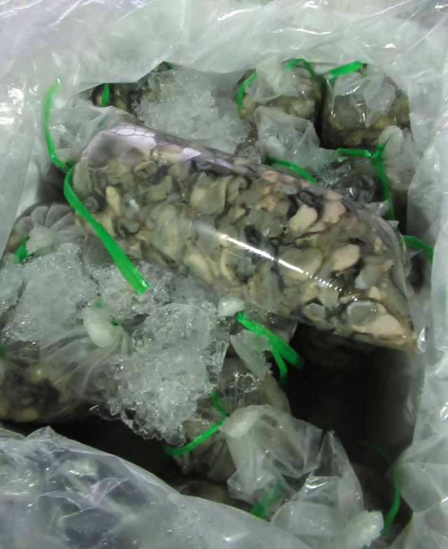 Des huîtres vietnamiennes détruites à la douane pour non-respect des normes sanitaires