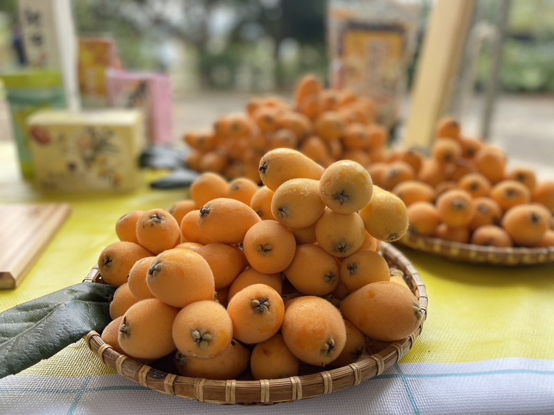 Un rendez-vous manqué des nèfles du Japon