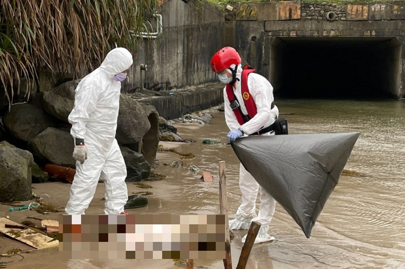 Un cadavre de porc infecté par la peste procine africaine trouvé sur l’archipel de Kinmen