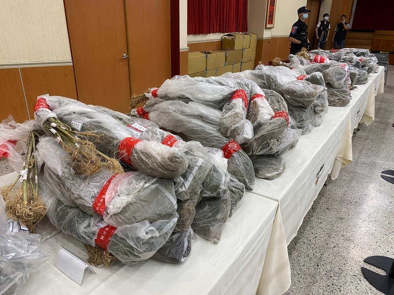 Trafic de drogue : les colis remplacent les passeurs humains à l’ère du Covid-19