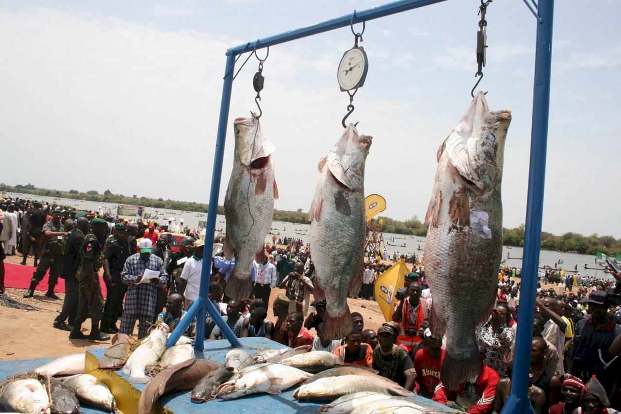 Fête de la pêche au Nigéria