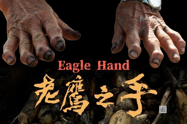 Rhizomes de lotus à travers le documentaire Eagle Hand