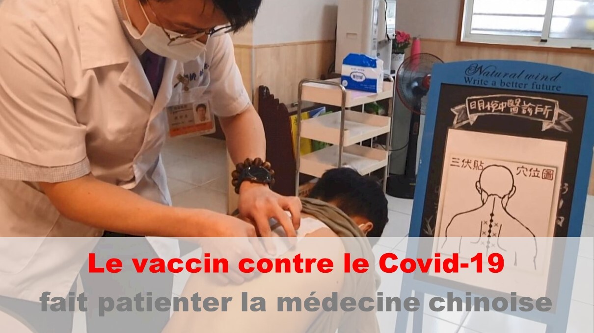 Les patchs à base d’herbe médicinale déconseillés dans les trois jours suivant la vaccination