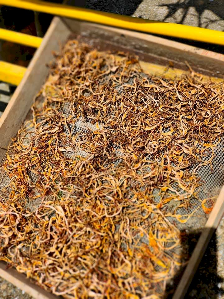 Des hémérocalles citrons séchées parfaites pour être cuisinées (Photo Hsia Chih-ping de RTI)