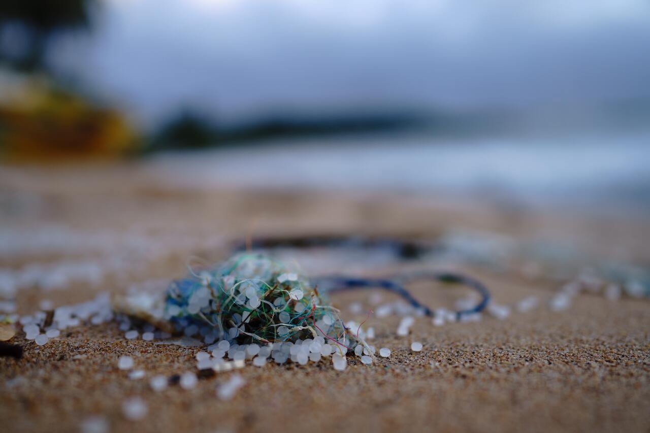 Des microplastiques en mer Des microplastiques en mer