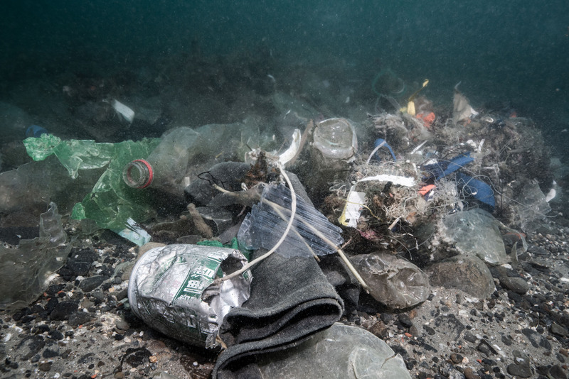 Greenpeace demande une loi pour protéger les océans