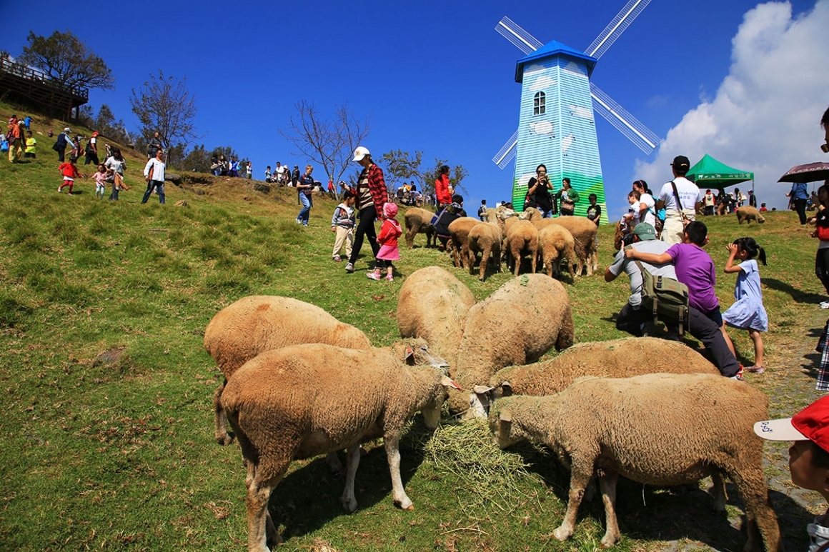 Des moutons de la ferme Cingjing, dans le centre de Taiwan (Image d'archive - ferme Cingjing)