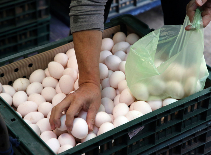 Gel du prix des œufs jusqu'à la fin du mois de février