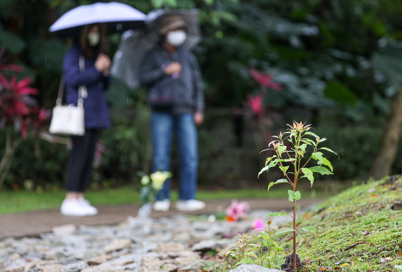 OEPAT: enterrement sous un arbre, baseball et calcul neuromorphique