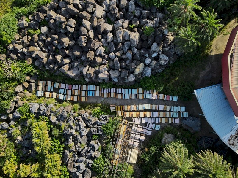 Le parc à thème Formosa Fun Coast est fermé au public depuis sept ans lorsqu’une fête du samedi soir a tourné au drame. Sept ans après la tragédie, le parc à l'abandon n'est plus que ruines. La nature a repris ses droits et les installations du parc sont à peine visible. (Photo CNA)