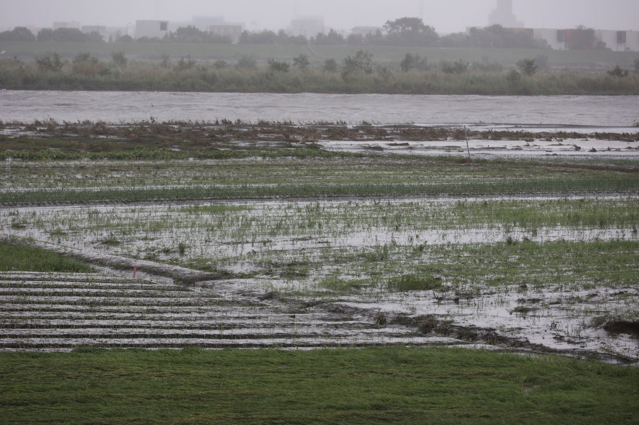 Les pertes agricoles dues au typhon Nesat s'élèvent à 13,14 millions de dollars taïwanais