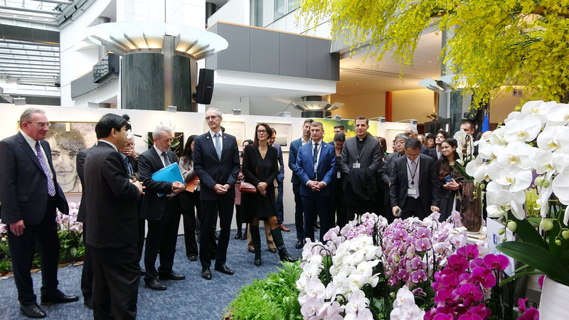 Les orchidées taïwanaises s’invitent au Parlement européen