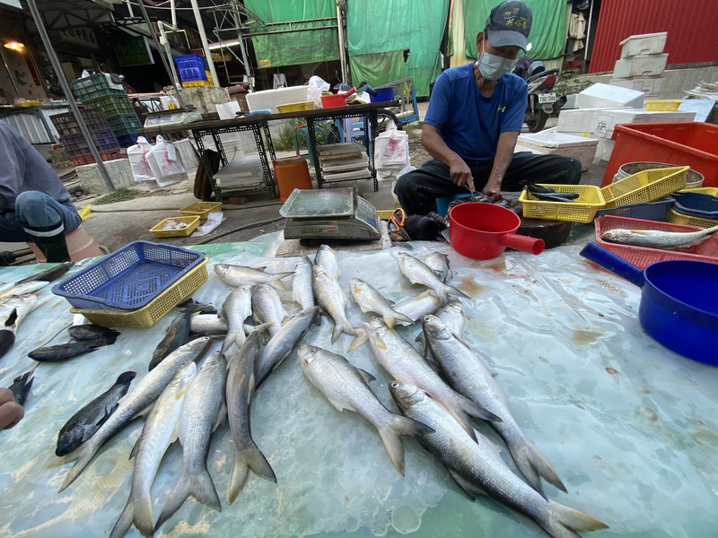 De nouveaux produits aquacoles taïwanais interdits en Chine