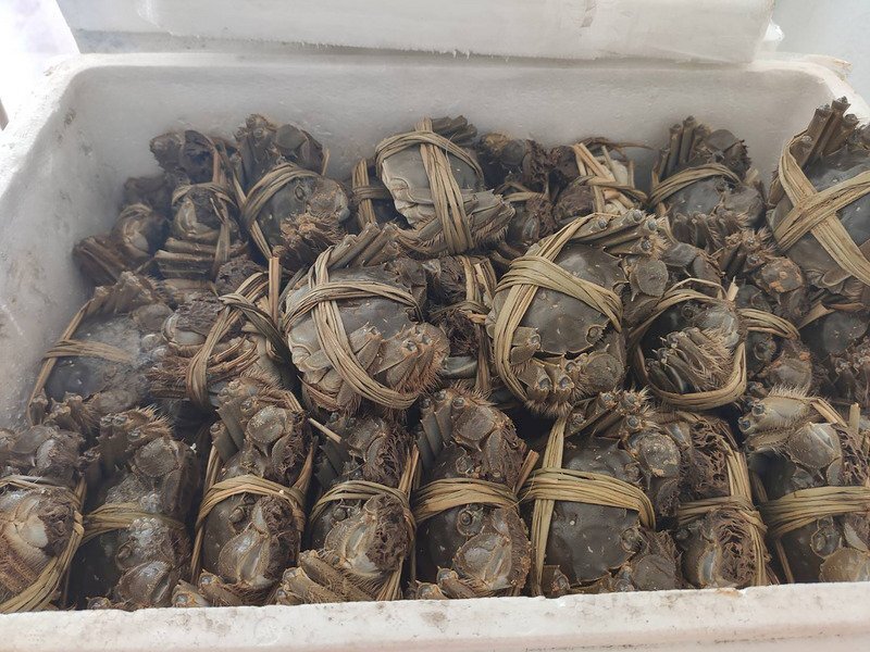 Des crabes en provenance de Chine contaminés aux dioxines