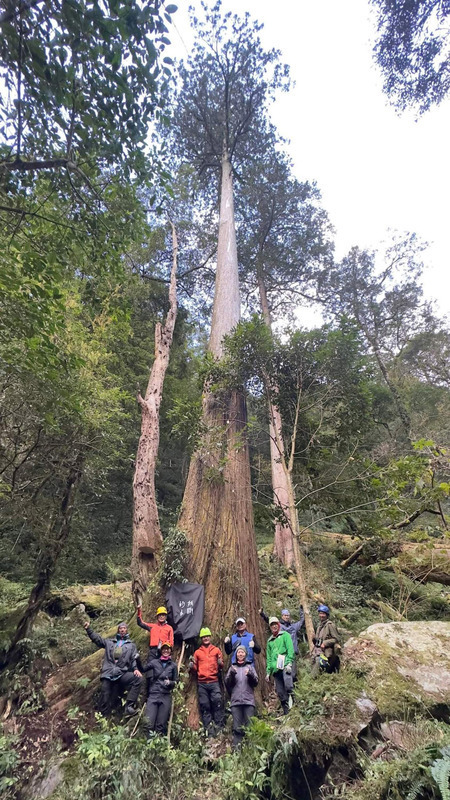 Un cyprès Taiwania de 84,1m reconnu comme étant le plus grand arbre d’Asie de l’Est
