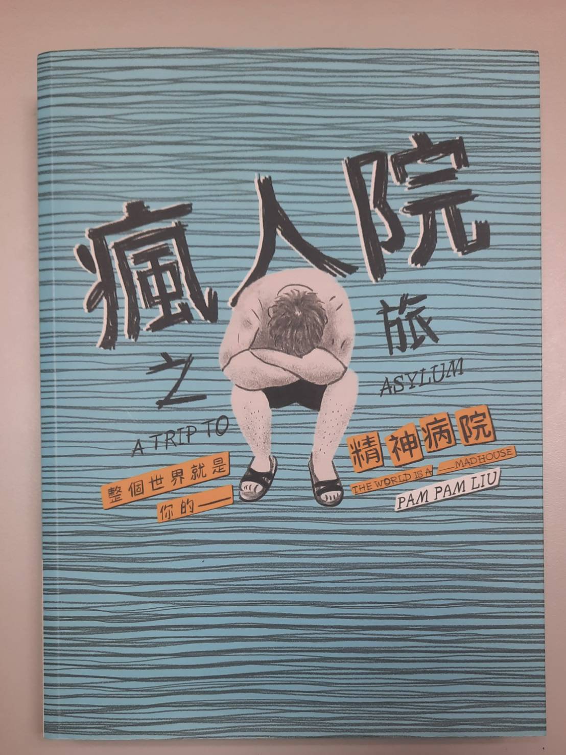 Folie et normalité dans Asylum, roman graphique de Pam Pam Liu