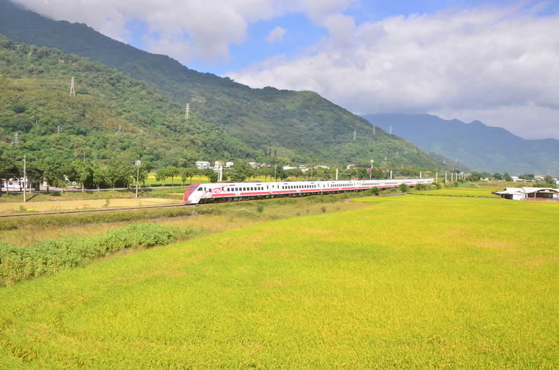 Privatisation des chemins de fer taïwanais : une vague de départs anticipés ?