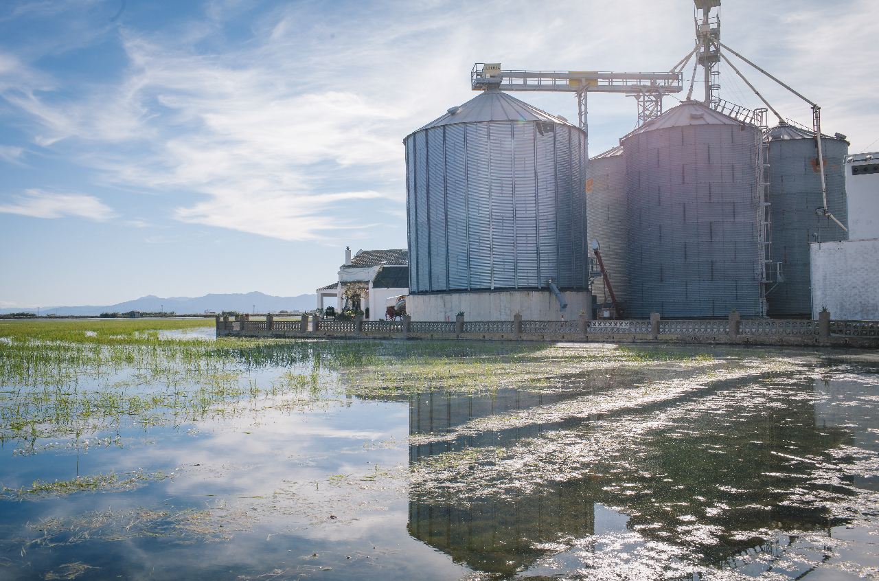 Aucun résultat constructif dans la lutte contre l’exploitation illégale des terres agricoles