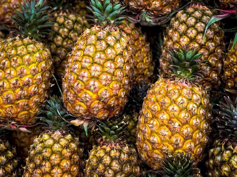 Trois tonnes d’ananas taïwanais bientôt dans les assiettes des élèves japonais